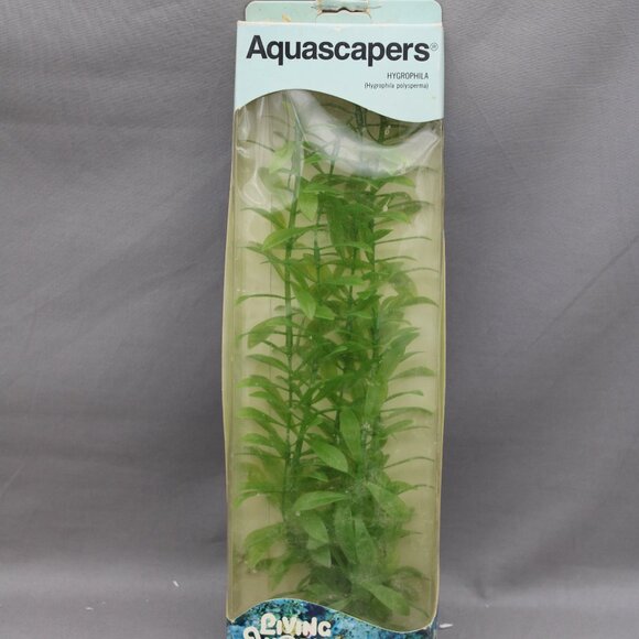 Vintage Aquarium Plant - Hygrophila by Aquascapers - New In Package - Picture 5 of 7
